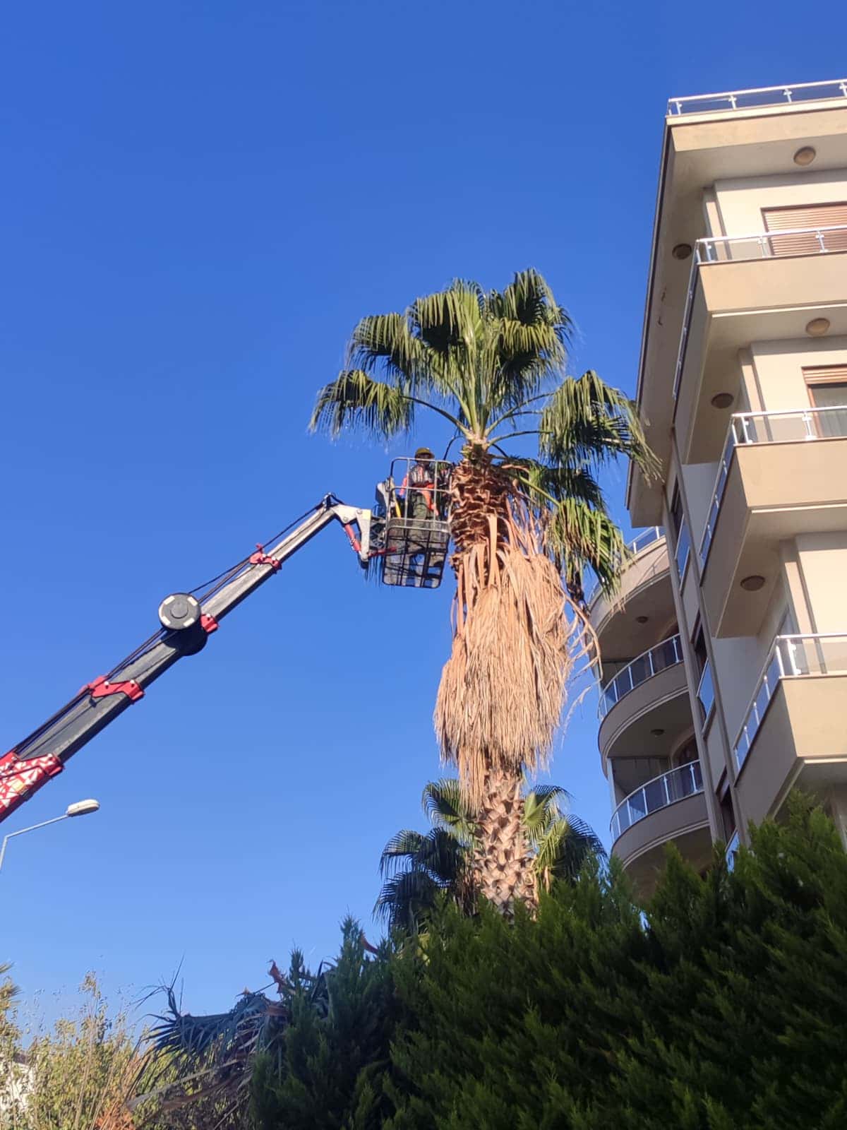 İzmir’de bahçe bakım