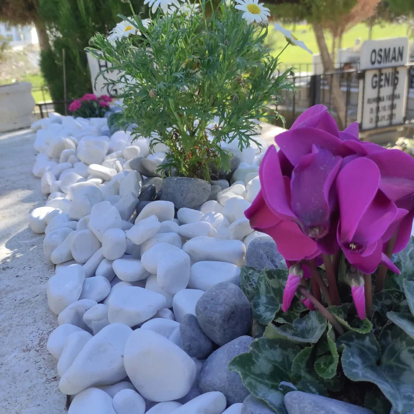 İzmir’de mezar bakımı ve düzenleme hizmeti